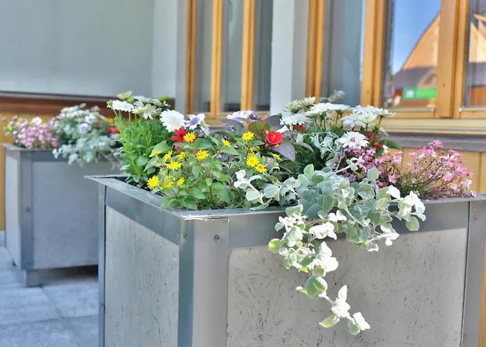 Apartament - Zakopianski